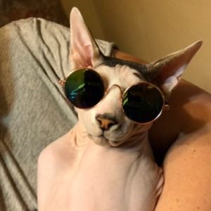 Meet your Posher, Alex